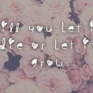 Meet your Posher, Maliyah